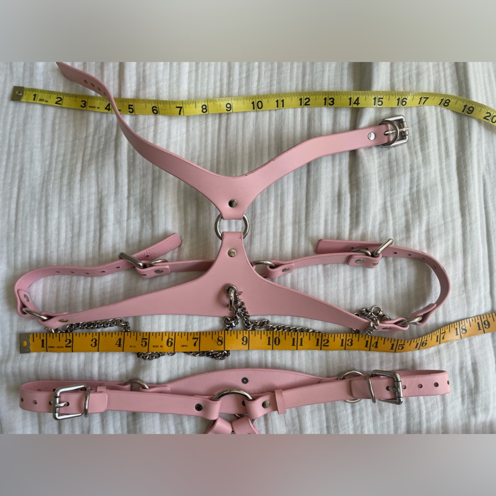 Anoeses Leather Pink Terra bondage Lingerie Set - Picture 14 of 17